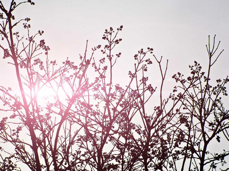 sudoku tips screenshot 4