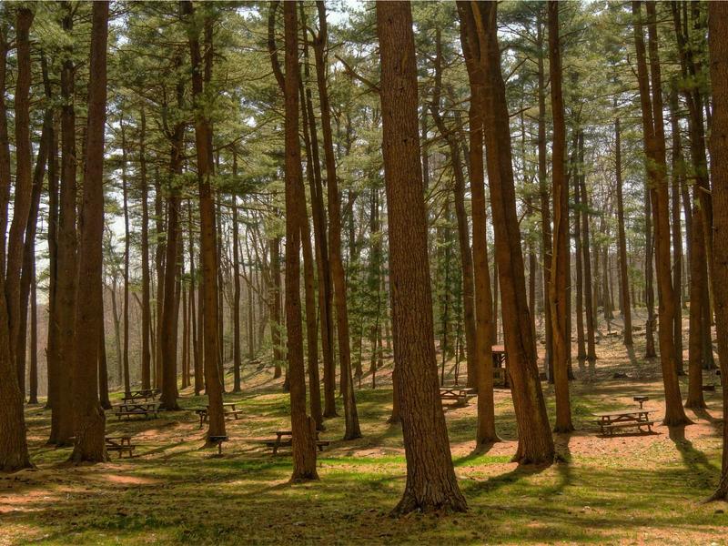 sudoku tips screenshot 1