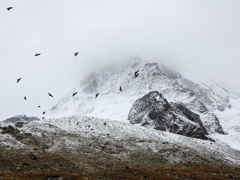 sudoku tips screenshot 6